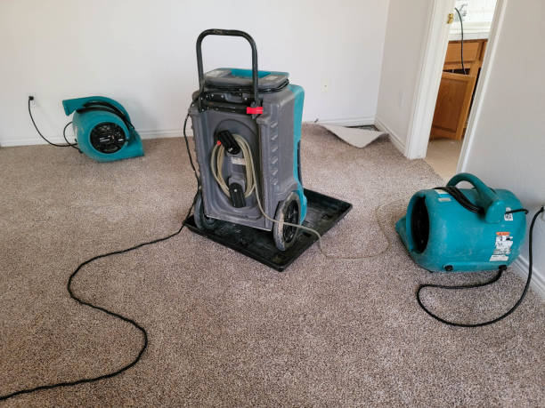 Best Water damage restoration near me  in Oxford, GA
