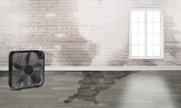 Best Water damage contractors near me  in Oxford, GA