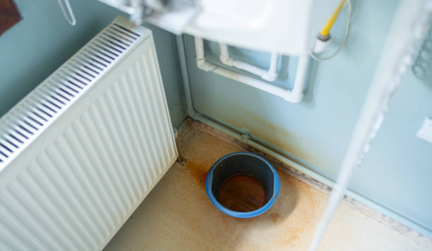 Carpet water damage restoration in Oxford, GA