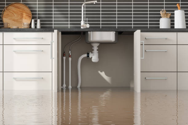 Best Fire Damage Restoration  in Oxford, GA