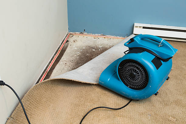 Best Commercial water damage restoration  in Oxford, GA